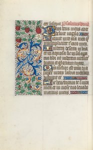 Kniha hodin Použití Rouen: fol. 137v, c. 1470. od Master of the Geneva Latini