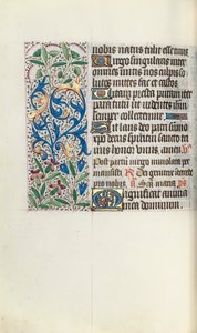 Kniha hodin Použití Rouen: fol. 73v, c. 1470. od Master of the Geneva Latini