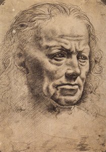 Hlava muže od Master of the Pala Sforzesca
