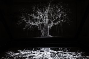 Albion, 2017 (projektor, přehrávač médií, lešení, průhledná fólie, dřevo, barva, zrcadlo, natahovací příslušenství) od Mat Collishaw