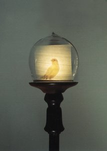 Starožitnosti od Mat Collishaw