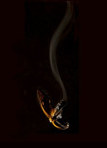 Hořící motýl 15, 2013 (Lambda print)