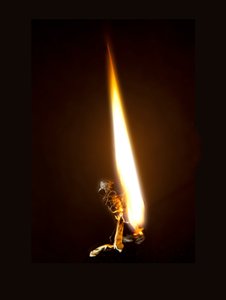 Hořící motýl 8, 2013 (Lambda print) od Mat Collishaw