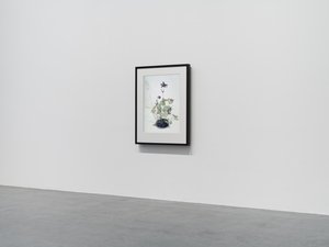 Columbine, 2018 (dřevěný rám, rámeček, LCD obrazovka, ventilátor a přehrávač médií) od Mat Collishaw