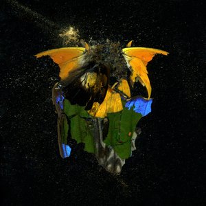 Insekticid 14, 2009 (fotografie typu C)