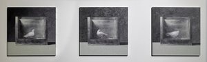 Operant Conditioning Chamber 3, 2022 (olej na hliníkové desce) od Mat Collishaw