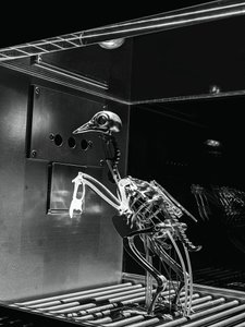 The Machine Zone, 2019 (ocel, hliník, servomotory) od Mat Collishaw