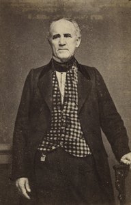 Sam Houston, kolem 1860-65 (stříbrný tisk alba) od Mathew B. Brady