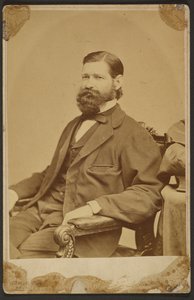 Thomas Davidson Jr. od Mathew B. Brady