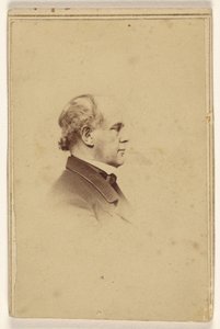 [Neidentifikovaný muž z profilu, vytištěný ve stylu viněty] od Mathew B. Brady