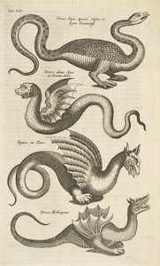 Tab XII, Mýtická stvoření, Draci, Ilustrace z „Přírodopisu čtyřnožců“