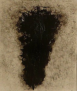 ossie, 2009 (heliotisk) od Matthew Hilton