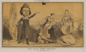 Skutečný irský zrádce! nebo, The Loyal Orangeman (color litho) od Matthew