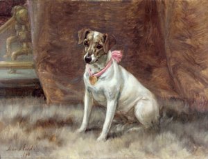 Růžový luk, 1898