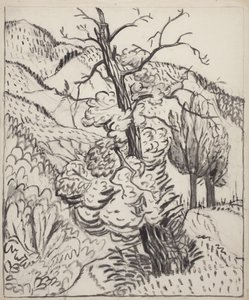 Strom na svahu hory, asi 1930 (štětec, tuš a uhel na bělavém vliesovém papíře) od Maud Hunt Squire