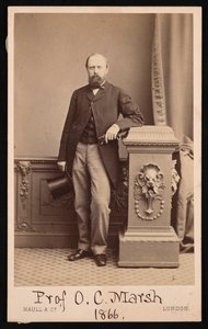 Portrét Othniela Charlese Marshe 1831-1879, 1866.