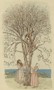 Sběr pomerančů ve Středomoří (barevná litografie) od Maurice Charles Mathieu Bonvoisin