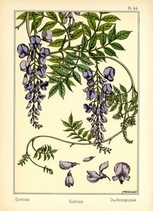 Glycin (barva litho) od Maurice Pillard Verneuil