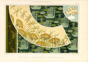 Vodní světy s vážkami, květy a labutěmi (litografie) od Maurice Pillard Verneuil