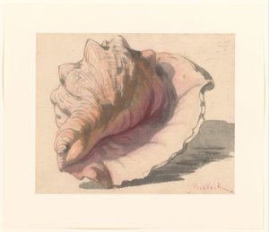 Shell