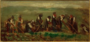Dělníci na řepařském poli - studium složení od Max Liebermann