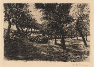 Stádo ovcí pod stromy, 1891. od Max Liebermann