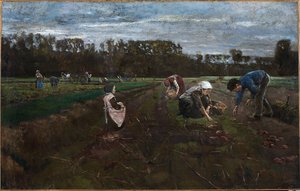 Sklizeň brambor od Max Liebermann