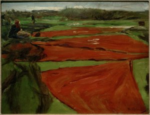 Louka s rozprostřenými sítěmi a plachtami od Max Liebermann