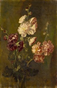 Hollyhocks