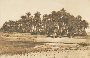 Pohled na Elephantine Island, naproti Asuánu, 1849-50. od Maxime Du Camp