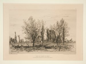 Dans les champs de C?non (In the Fields of C?non) od Maxime Lalanne