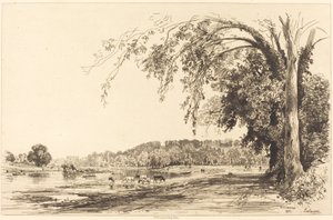 Richmond od Maxime Lalanne