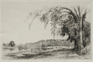 Richmond od Maxime Lalanne