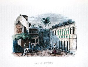 Rue de Cayenne, Francouzská Guyana, ilustrace z 