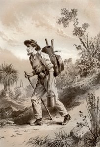 Bagr na trampu, Austrálie, 1879.