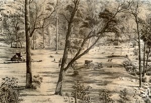 Volný výběrčí chata, Austrálie, 1879
