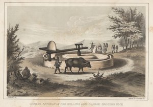 Čínské zařízení pro loupání a hrubé mletí rýže, 1855 od Meffert