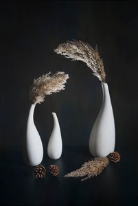 od Mei Su