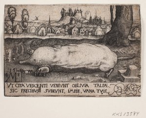 Krtek od Melchior Lorck