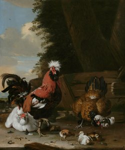Bantamový kohout se slepicemi a kuřaty na farmě od Melchior de Hondecoeter