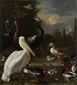 Pelikán a další ptáci u bazénu, známý jako „Plovoucí pírko“, kolem roku 1680