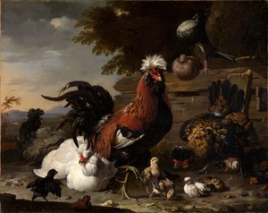  od Melchior de Hondecoeter