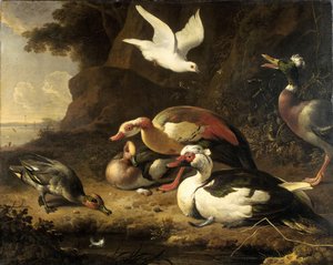Kachny od Melchior de Hondecoeter