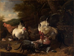  od Melchior de Hondecoeter