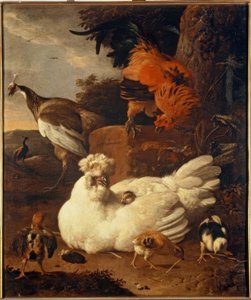 M. de Hondecoeter, matka slepice s kuřaty od Melchior de Hondecoeter