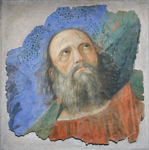 Apoštolova hlava, cca 1480 (freska) od Melozzo da Forli