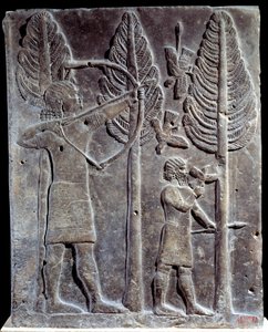 Scéna lovu ptáků. Nízký reliéf v albastru od paláce Sargona II nebo Sharroukina, krále Asýrie, po Khorsabad (Khunsabad) (Mezopotámie), Irák. 722-705 před naším letopočtem. Paříž. muzeum Louvre od Mesopotamian Mesopotamian