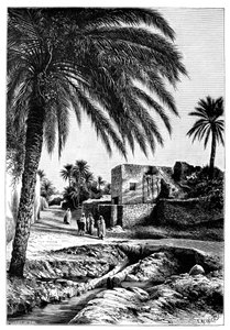 Ulice v Biskra, Alžírsko, 1895.
