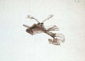 Kresba z alba Michaela Faradaye (pero a tuš na papíře) od Michael Faraday