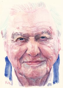Sir David Attenborough (akvarel)